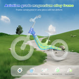 Birtech 14 Inch Kids Balance Bike with Magnesium Alloy Frame Blue&Green