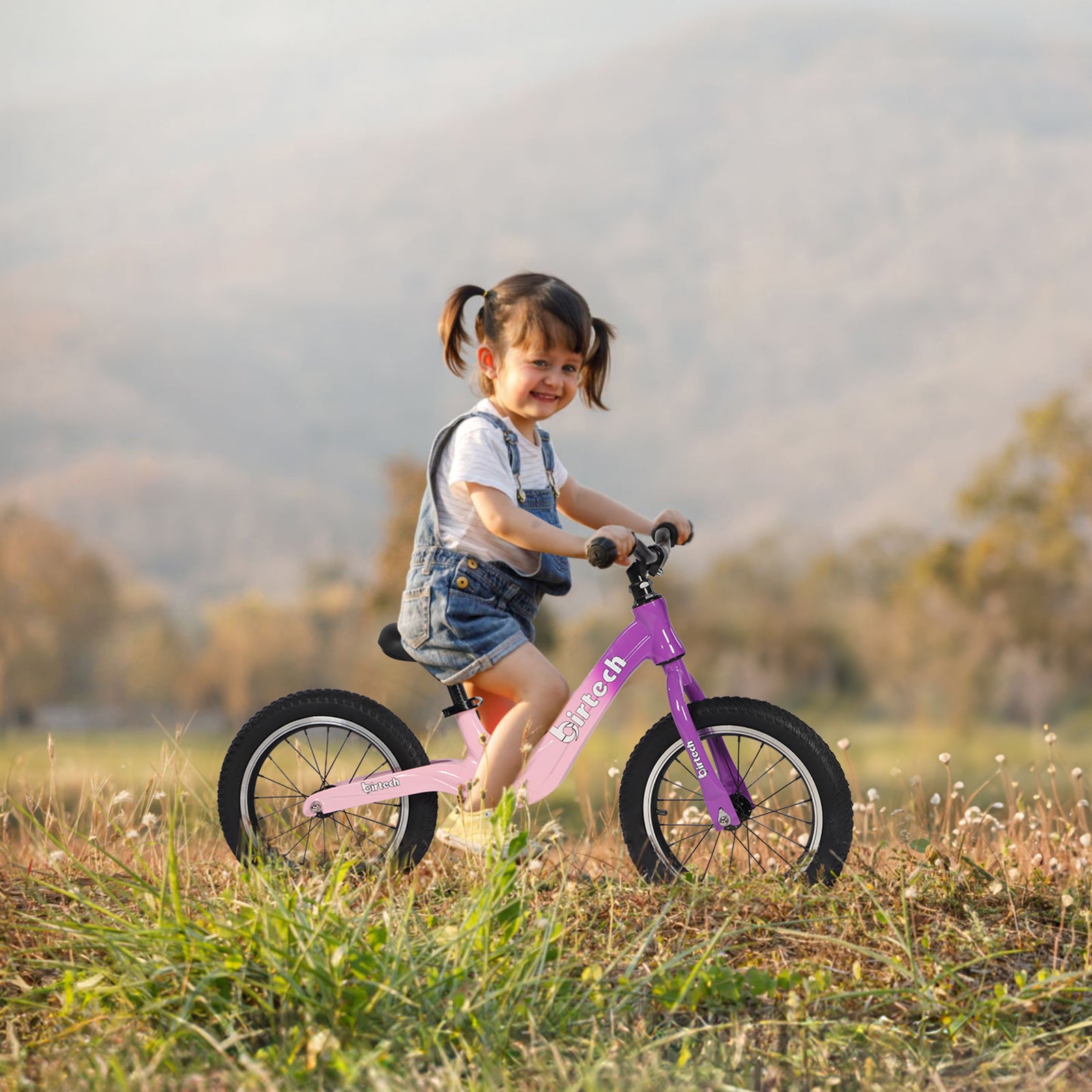 Birtech 14 Inch Kids Balance Bike with Magnesium Alloy Frame Purple&Pink